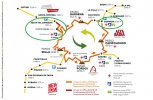 tracce percorso1-2022.jpg
