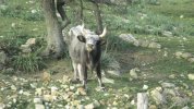 IMG_0197.JPG