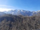 20230225_095734.jpg 20230225_095734.jpg