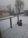 20230226_073127.jpg
