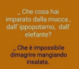 Schermata 2023-03-03 alle 10.44.18.png