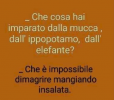 1677838102897.png