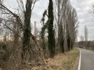 839D79AD-68CD-4180-862D-D65B885C202F.jpeg
