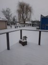 20230311_062013.jpg
