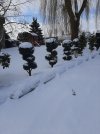 20230312_084408.jpg