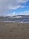20230312_111349.jpg
