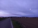 20230311_062050.jpg