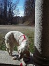 20230316_122747.JPG