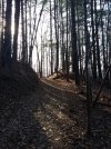 20230316_160702.JPG 20230316_160702.JPG