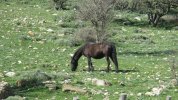 IMG_0307.JPG