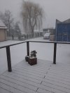 20230328_065716.jpg