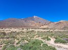20230403_142342.jpg 20230403_142342.jpg