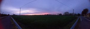 20230411_062625.jpg