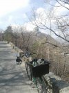 IMG-20230411-WA0005.jpg