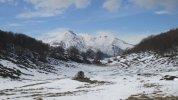 IMG_0382.JPG
