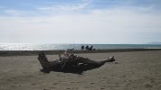 IMG_0423.JPG