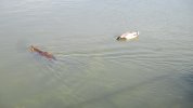 IMG_0427.JPG
