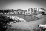 IMG_6340.jpg