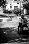 IMG_6376.jpg