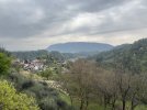 IMG_4180.jpeg