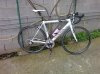 23032011291.jpg
