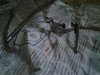 30032011504.jpg