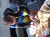 DSC03487.jpg