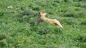 IMG_0466.JPG