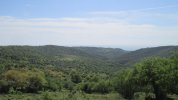 IMG_0464.JPG