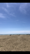 IMG_5630.png