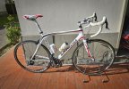 Bottecchia (1)-12.JPG
