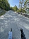 IMG_6818.jpeg