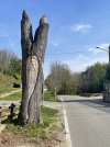 IMG_6820.jpeg
