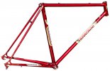 Saronni-Tipo-Sprint-frame.jpg