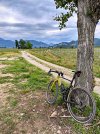 IMG_3839.jpeg