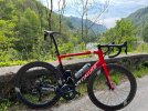 foto specialized4.jpg