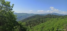 IMG_20230507_093828.jpg