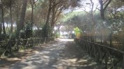IMG_0558.JPG