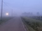 20230512_053138.jpg