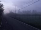 20230512_052755.jpg