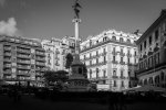 IMG_7338.jpg