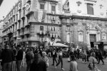 IMG_7357.jpg