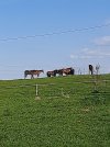 20230512_174642.jpg 20230512_174642.jpg