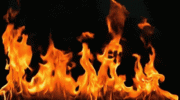 fire.gif fire.gif