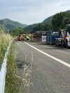 IMG_0513.jpeg