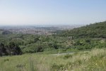 IMG_7557.JPG