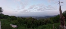 20230528_052924.jpg