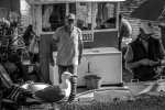 IMG_7651.jpg