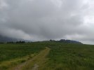 IMG_20230610_120607.jpg