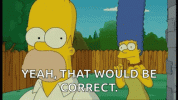 homer-brain.gif
